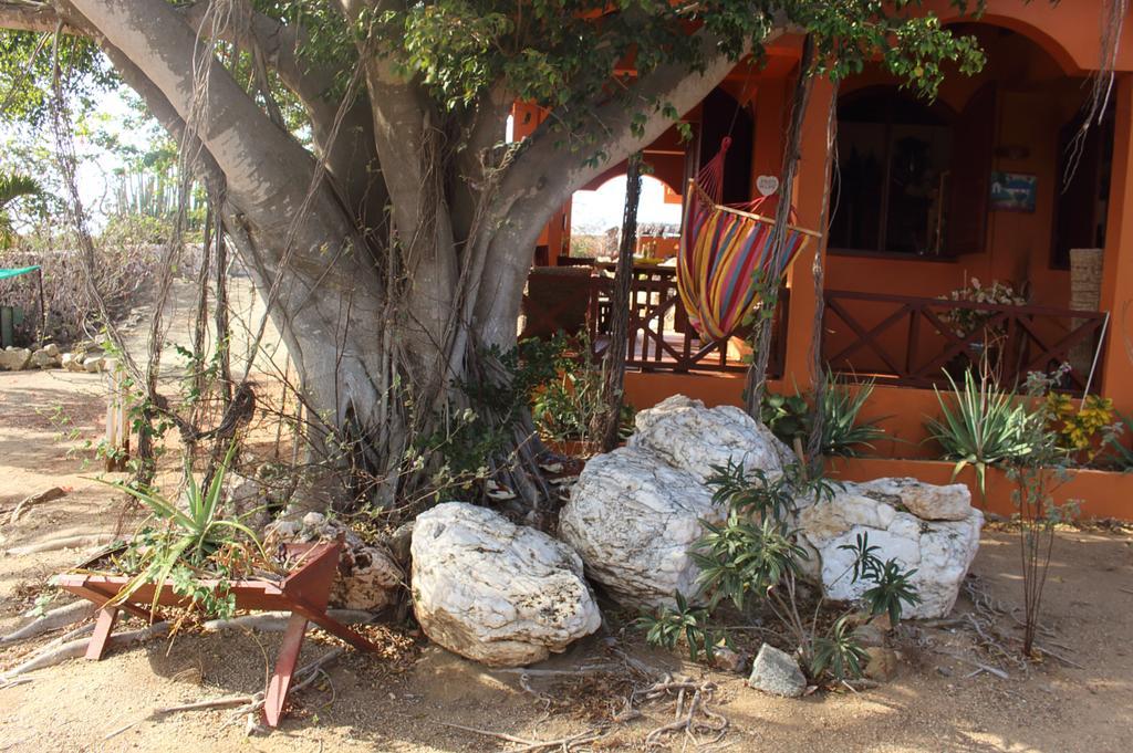 Fuego Mio Bed & Breakfast Santa Cruz Luaran gambar