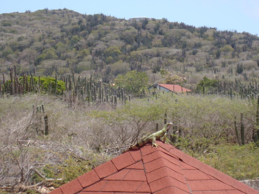 Fuego Mio Bed & Breakfast Santa Cruz Luaran gambar