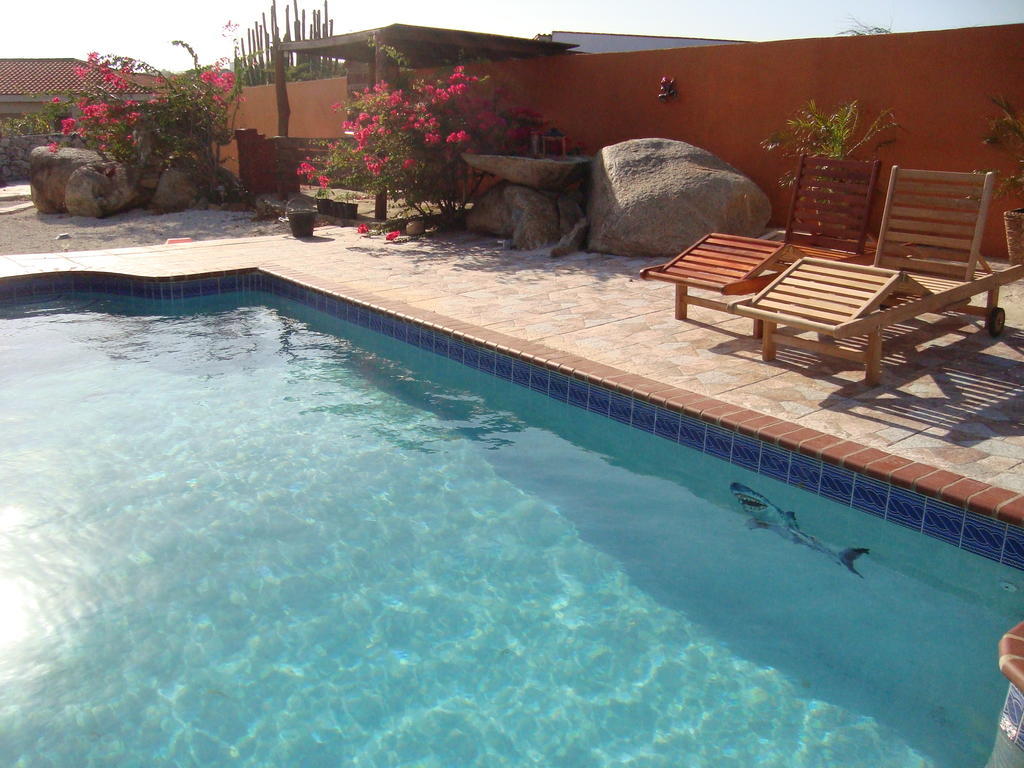Fuego Mio Bed & Breakfast Santa Cruz Luaran gambar