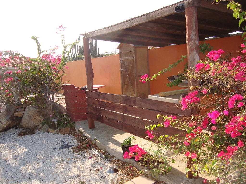 Fuego Mio Bed & Breakfast Santa Cruz Luaran gambar