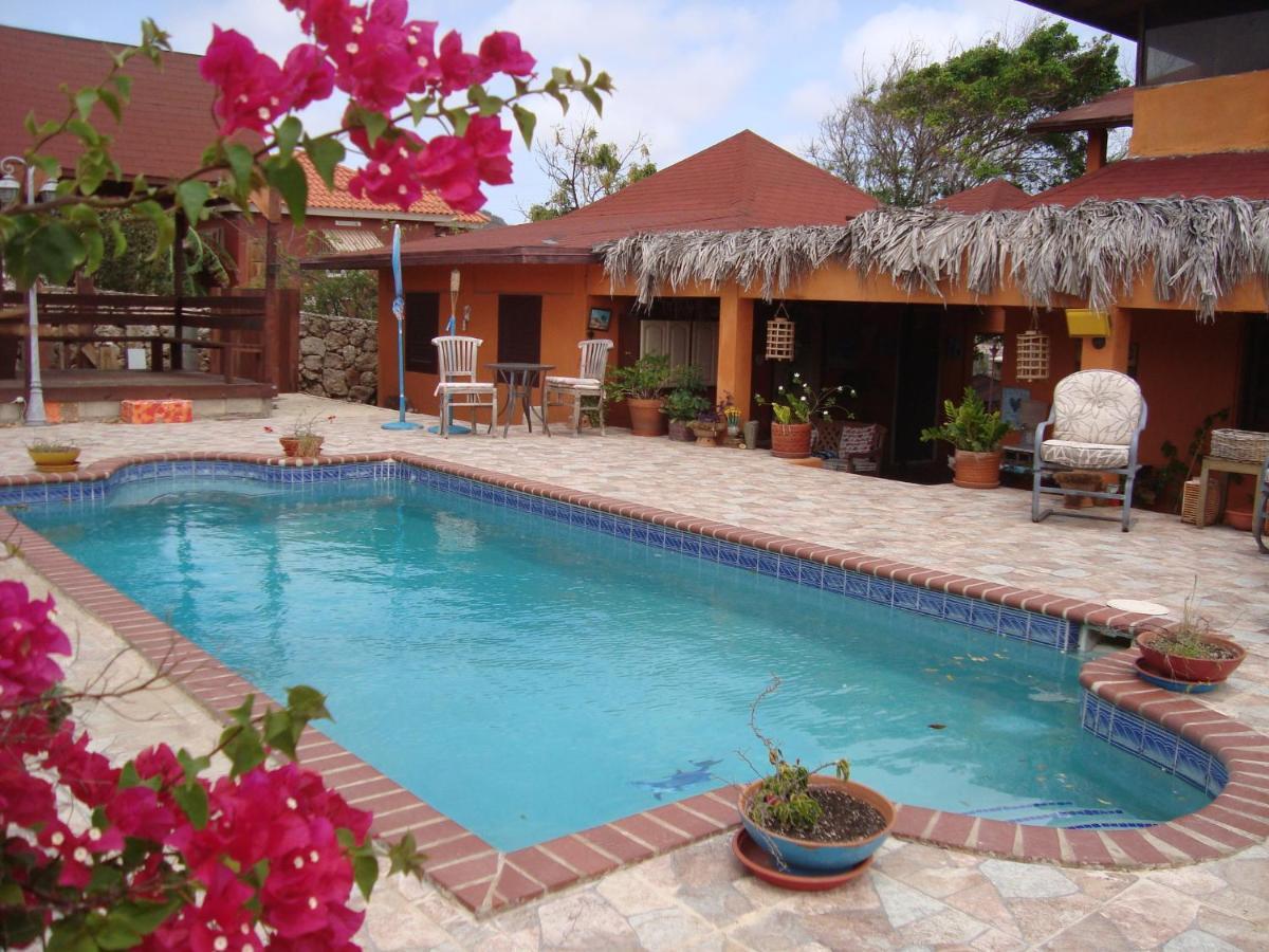 Fuego Mio Bed & Breakfast Santa Cruz Luaran gambar