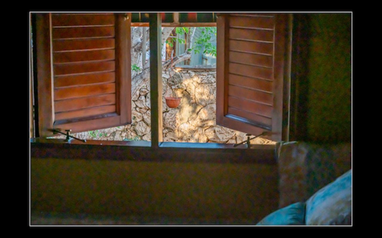 Fuego Mio Bed & Breakfast Santa Cruz Luaran gambar